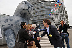 Actievoerders en sympathisanten van het IFAW vieren een verbod op de handel in zeehondenproducten binnen de EU nadat het Europees Parlement op 5 mei 2009 met 550 tegen 49 stemmen vóór stemde. Foto: © IFAW