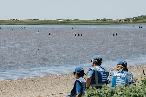 IFAW reddingswerkers werken met man en macht om de gestrande dolfijnen terug te brengen naar het open water. Foto: Stacey Hedman / © IFAW, Alle activiteiten uitgevoerd in het kader van een federale strandingsovereenkomst tussen IFAW en NMFS onder de MMPA.