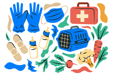 Rescue Care Kit: Medical gloves, medical mask, first aid kit, bandaids, bottles, animal carrier, vegetables.