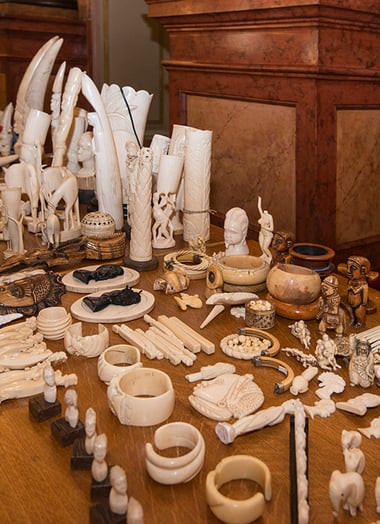 Auf mehreren großen Holztischen stehen ganz viele Figuren und Schmuckstücke aus Elfenbein dicht aneinandergestellt.
